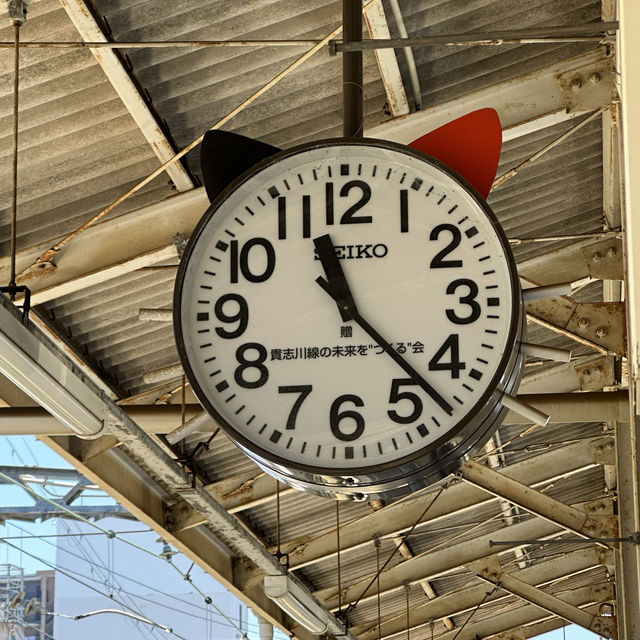 Visit a stationmaster cat!