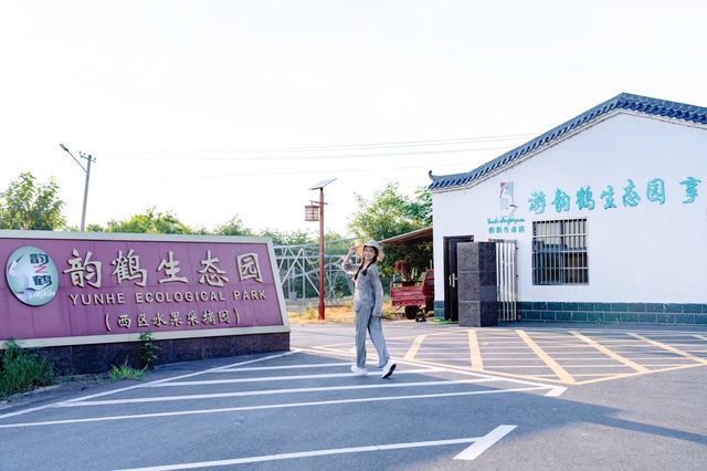 湖北孝昌今夏有動作葡萄採摘等你來玩兒