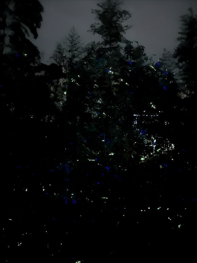 安吉野奢露營基地｜星空谷營地