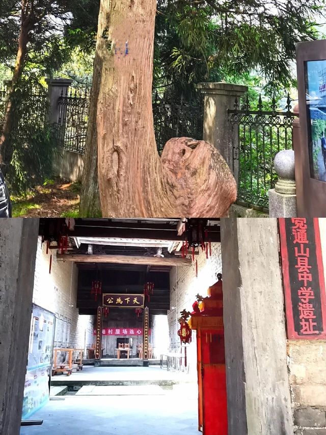 一起看咸寧世界級風景       九宮山