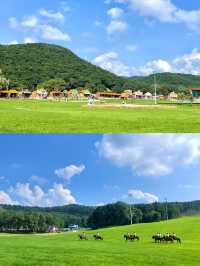 真在沈陽！！！大東北的雲端草原"阿勒泰"|||