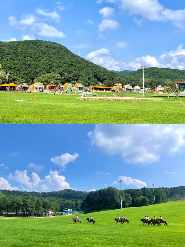 真在沈陽！！！大東北的雲端草原"阿勒泰"|||