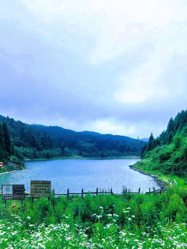 重慶居然有這麼涼爽的地方