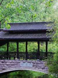 合肥Citywalk丨綠色的濱湖國家森林公園