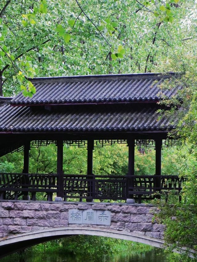 合肥Citywalk丨綠色的濱湖國家森林公園