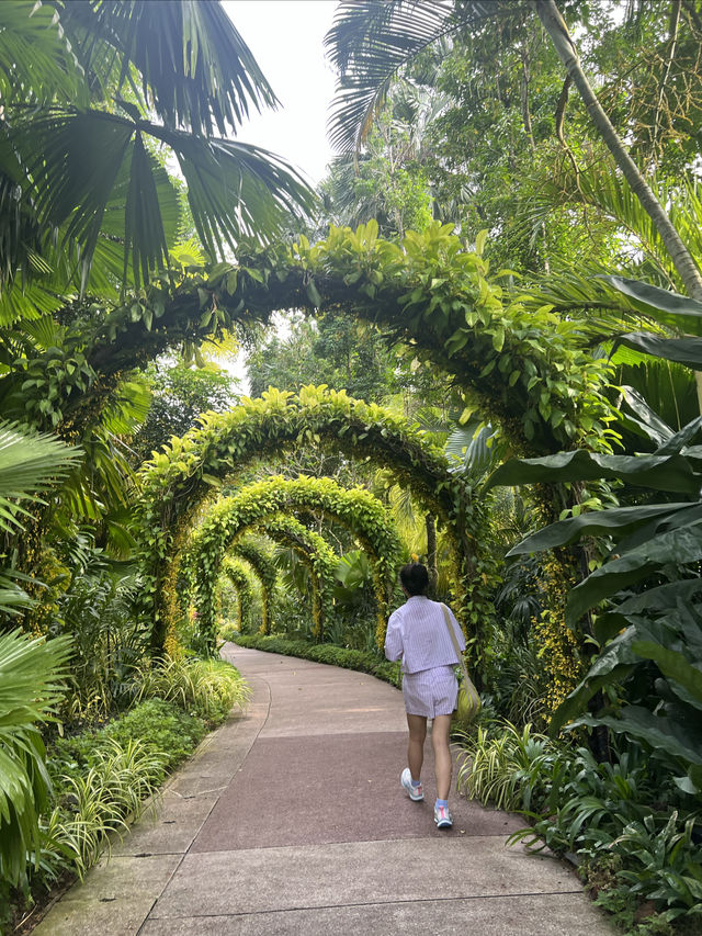 新加坡遊玩攻略——DAY 4 植物園、國立大學