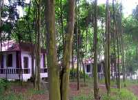 獨家揭秘，花岩溪保姆級攻略：一步一景，讓你的旅行不留遺憾！