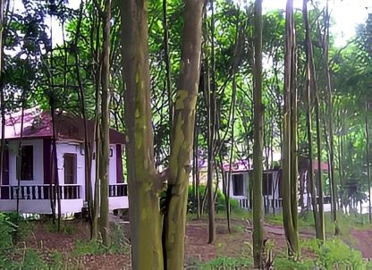 獨家揭秘，花岩溪保姆級攻略：一步一景，讓你的旅行不留遺憾！