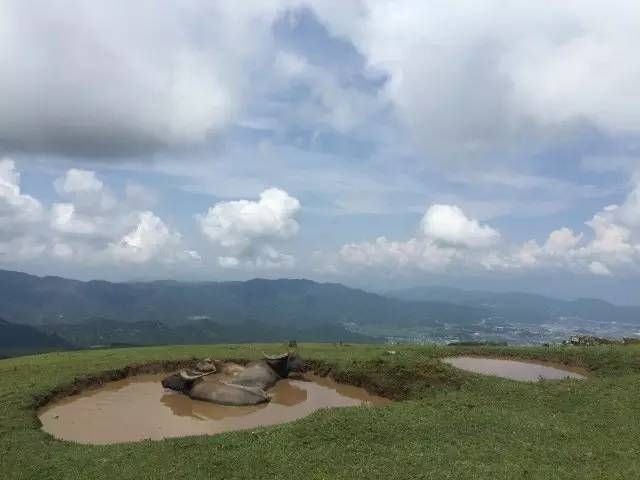 騰衝東山草原