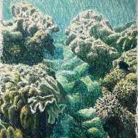 海之蒼穹