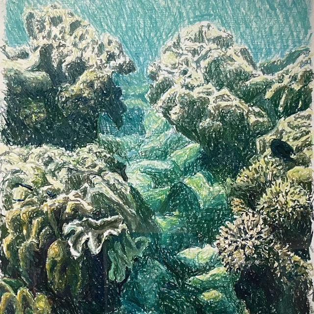 海之蒼穹
