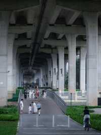 深圳城市建設的魅力❗