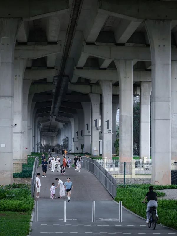 深圳城市建設的魅力❗