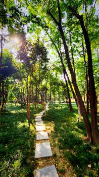 聽講西安豐慶公園錦簇芳菲，打卡過公園"山水綠叢中"才知曉。