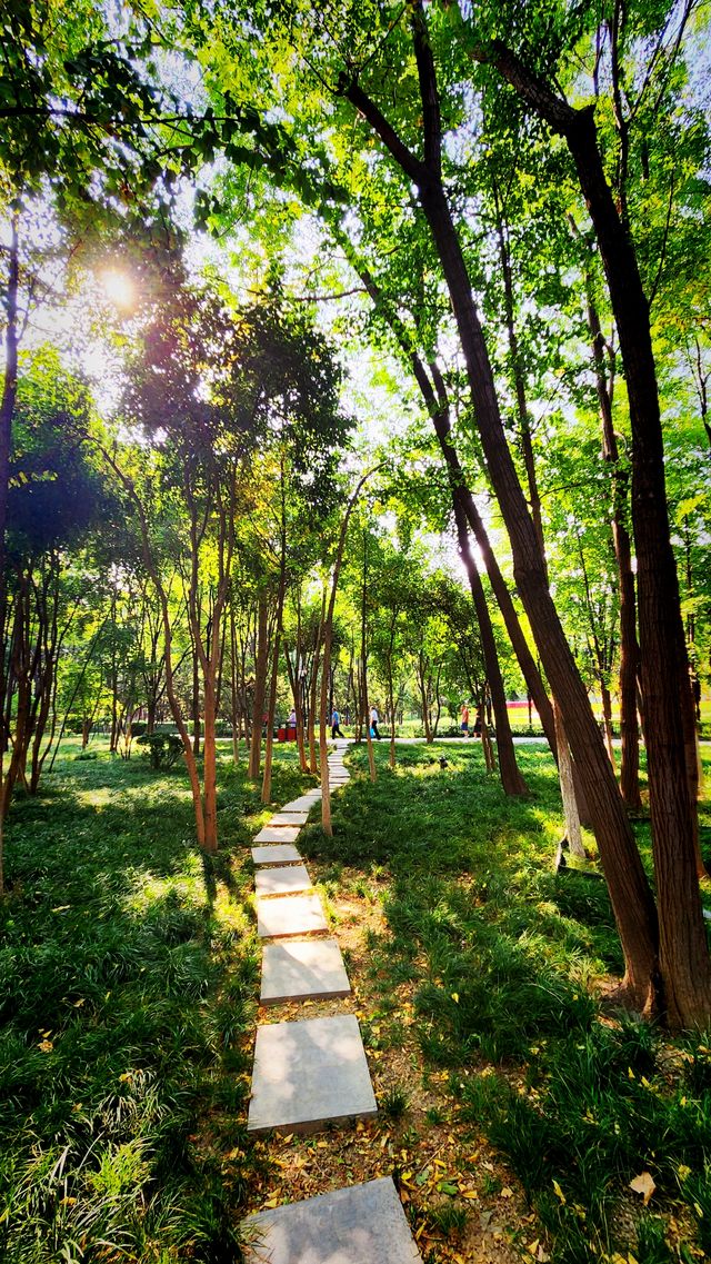 聽講西安豐慶公園錦簇芳菲，打卡過公園"山水綠叢中"才知曉。