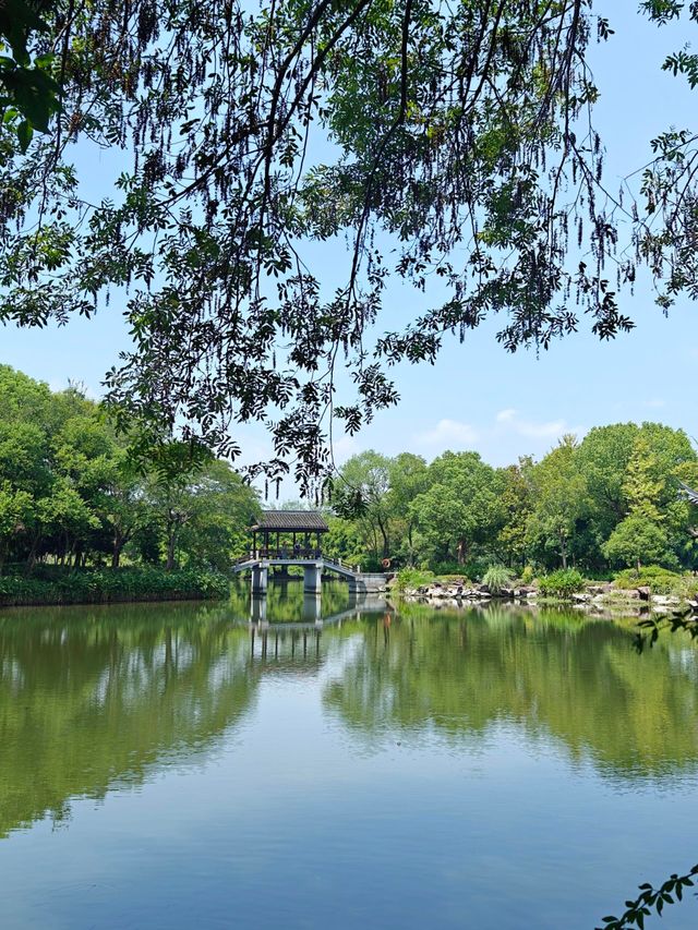 浙江杭州西溪國家濕地公園與大自然接觸收集初夏綠意。