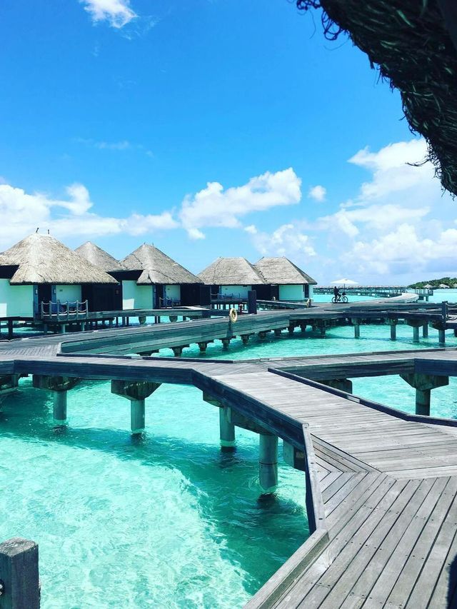 呼拉島：夏威夷的隱世天堂。