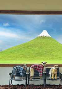 無需再問浮生事，只此浮生是夢中。北京周邊1.5小時可到。