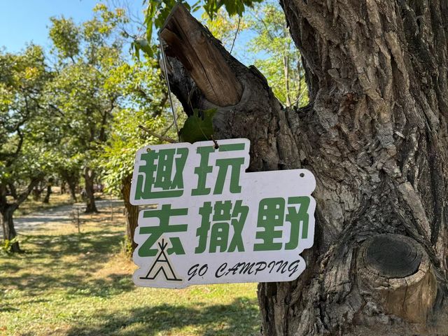 《蒙山栗子自然營地》。