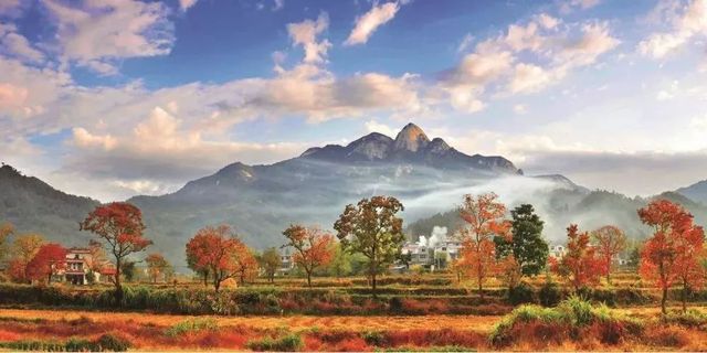 十一月份，和大別山來一場美麗的邂逅。