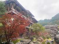 劍河溫泉城，秋日里紅葉滿園，美不勝收。