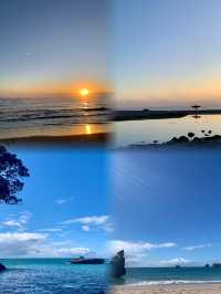 探索科羅曼德爾半島：自然與冒險的完美結合 。