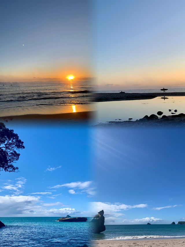 探索科羅曼德爾半島：自然與冒險的完美結合 。