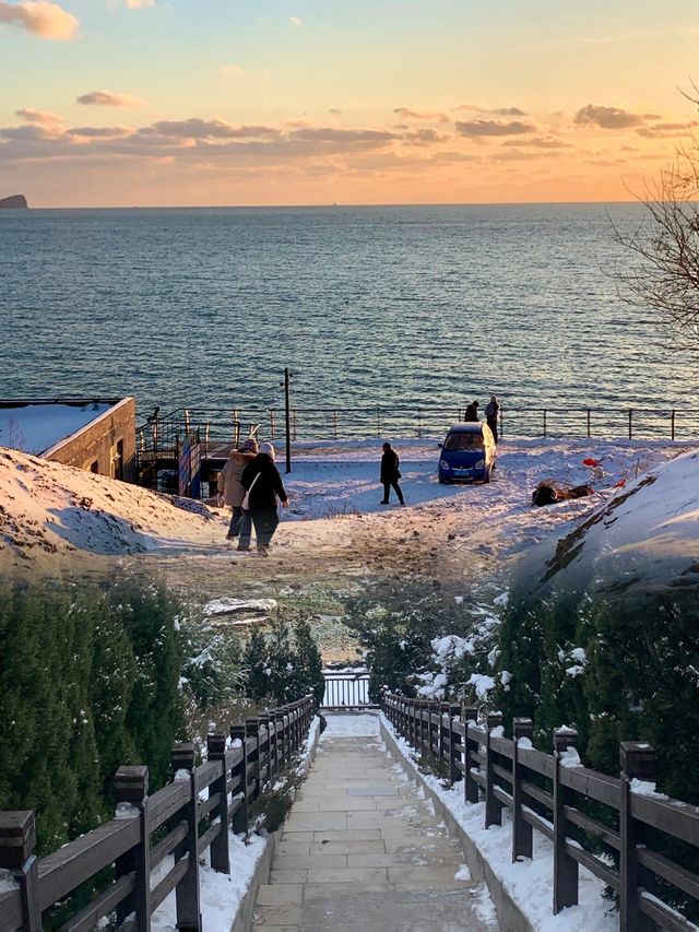 大連雪與海的浪漫邂逅，一場夢幻之旅。