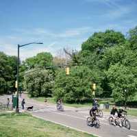 Central park Tour New york