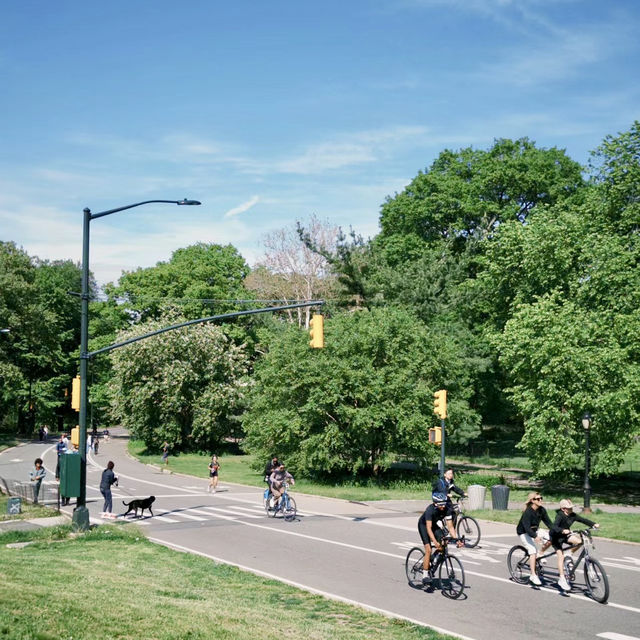 Central park Tour New york