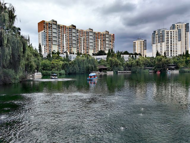 蓮花池公園 尋覓鬧市中的一刻寧靜。