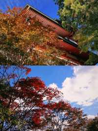 東京賞楓圖鑑：御岳山。
