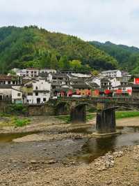 秋日遂昌自駕之旅邂逅絕美畫卷。