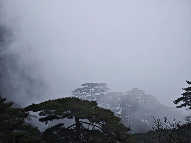 安徽｜黃山｜來自大自然的饋贈。