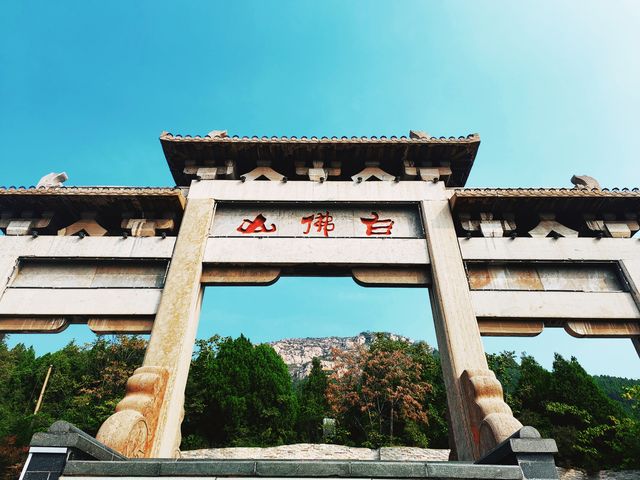 東平白佛山|進山吸氧。
