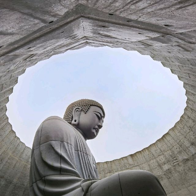 北海道頭大佛殿：神聖佛像、秋風庭院，異國風情之旅