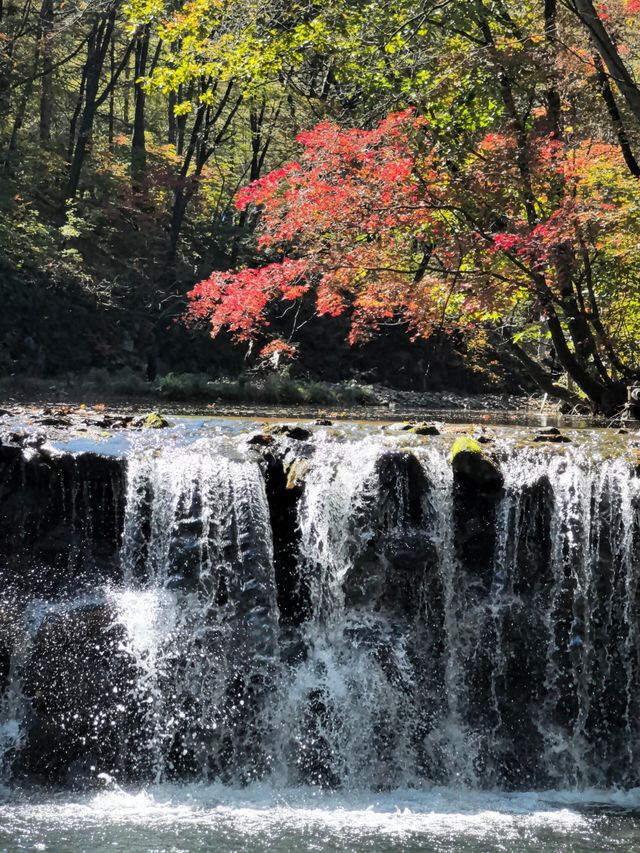 本溪老邊溝一日遊。