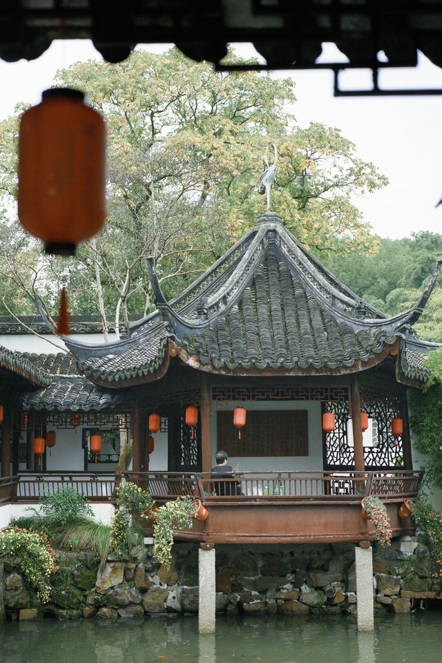 上海1%人才知道的古典園林賞菊好去處！。