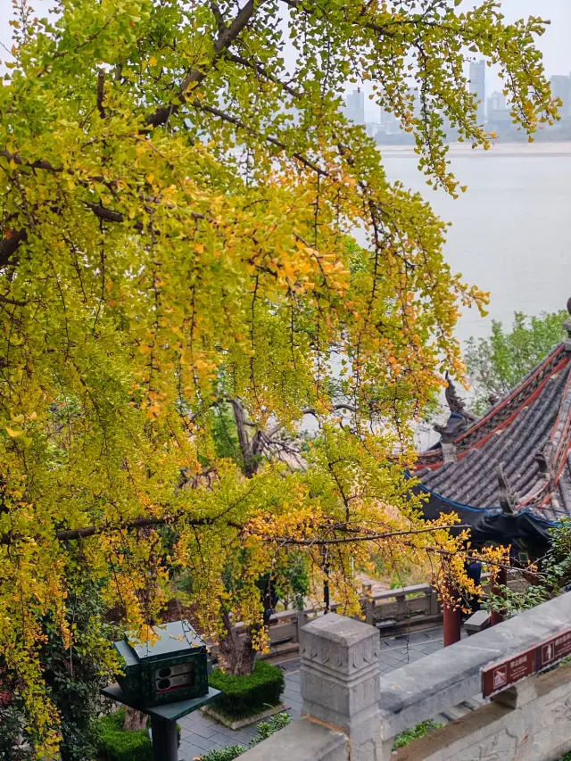 Is this the Qingchuan Pavilion of your dreams? 