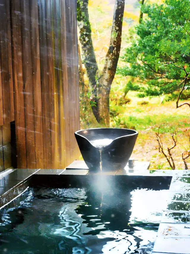 일본식 온천에서 자연의 치유를 만끽하세요.