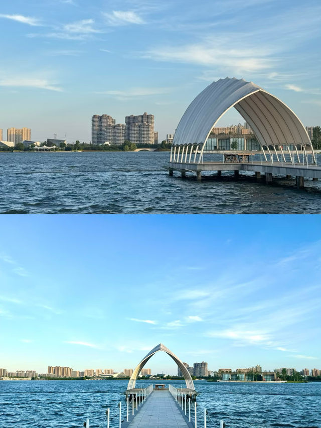 人少小眾的遛娃寶藏景點—嘉興銀杏天鵝湖。 人少小眾的遛娃寶藏景點—嘉興銀杏天鵝湖。
