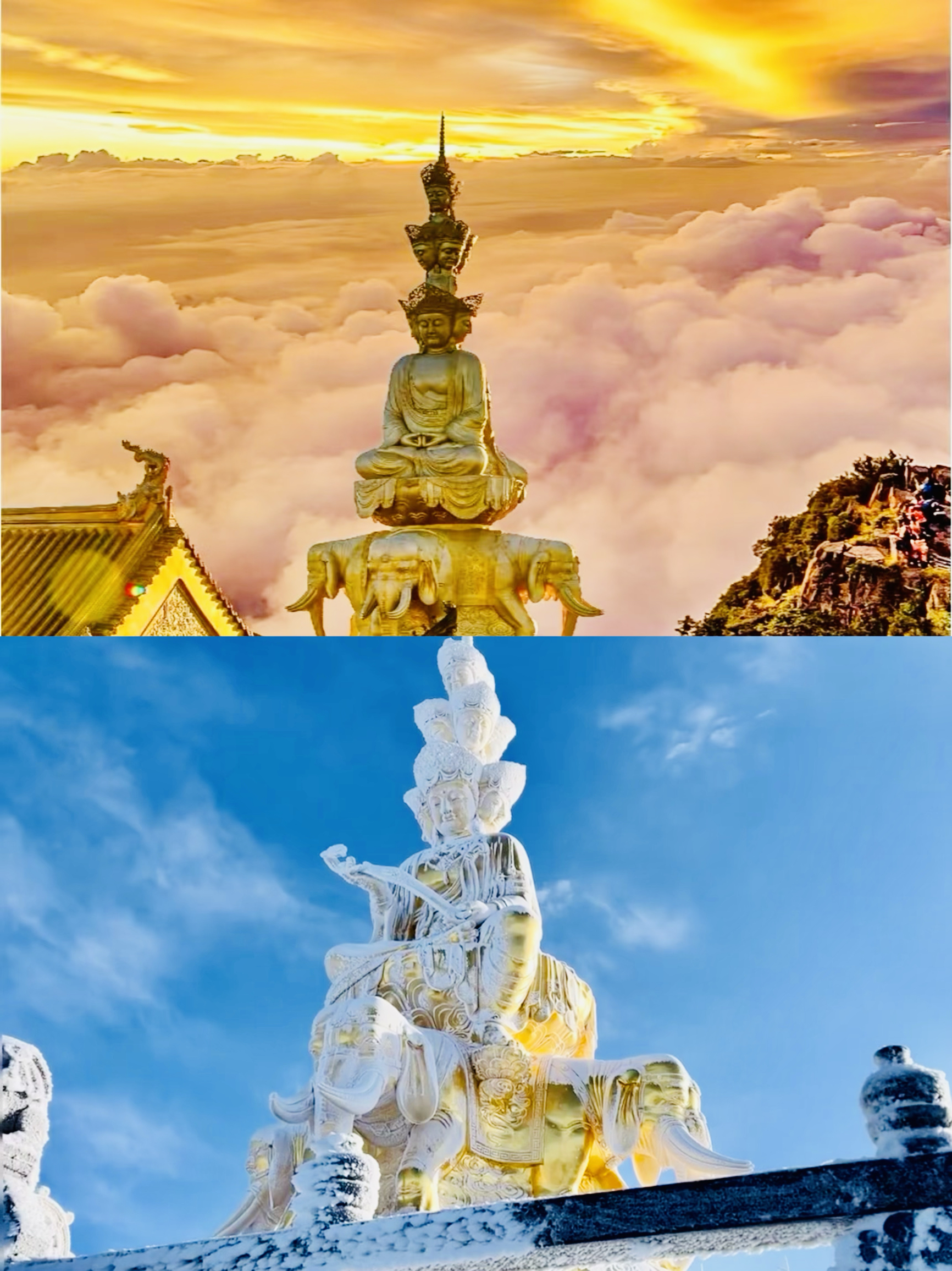 最新】四面十方普賢像 - チケット、営業時間、口コミ、写真 [2025年