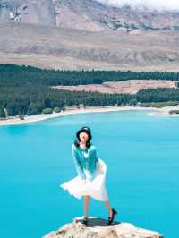 Tekapo 牛奶湖，絕不是照騙（附攻略）。