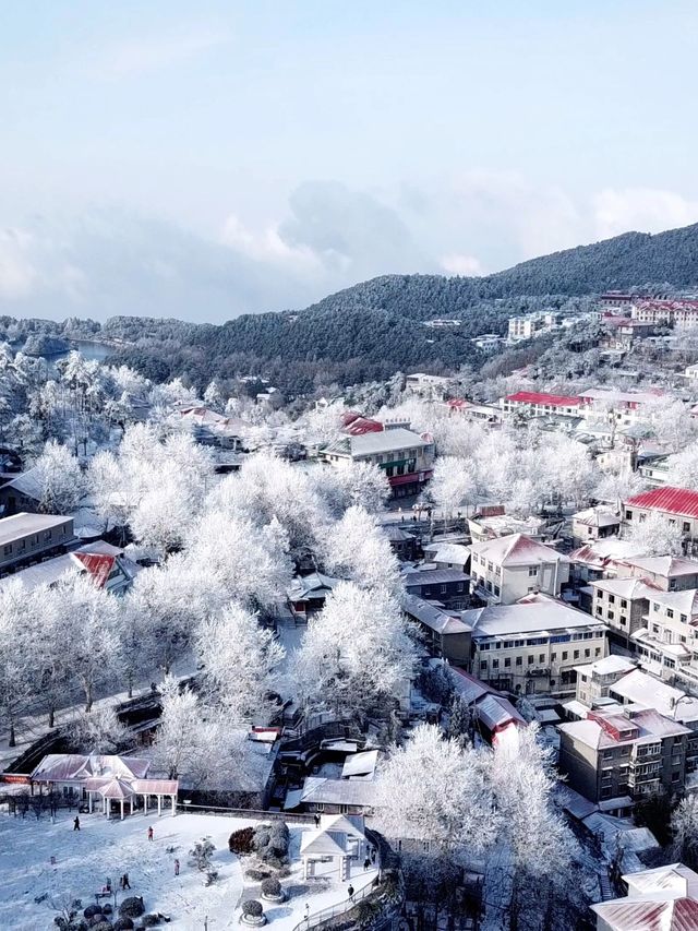 2日冬遊廬山 雪景美得令人驚嘆，別錯過。