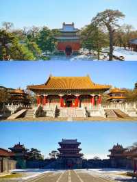 瀋陽