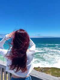 南澳 Mount Gambier 旅行日記之南澳