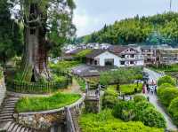隱匿深山之中的幽靜古剎，時思寺