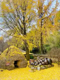 邂逅光州：古韻新風裡的奇幻旅程