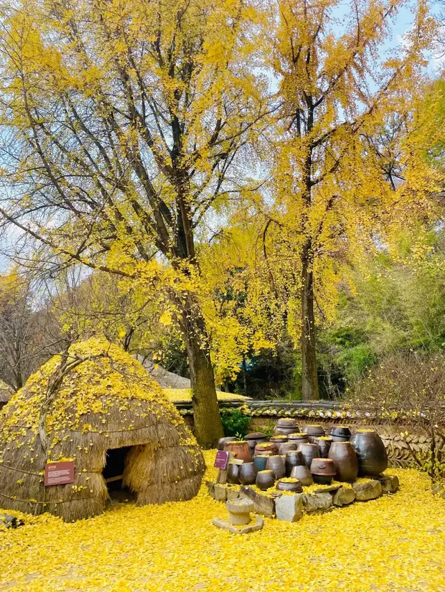 邂逅光州：古韻新風裡的奇幻旅程