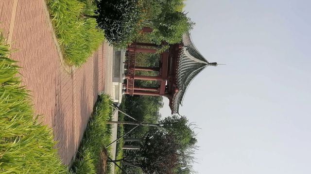 伊水遊園遊玩攻略
